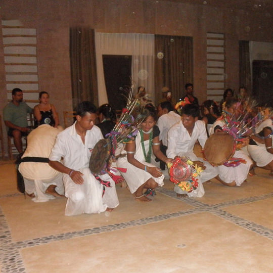 Cultural Dance Program (On Request)